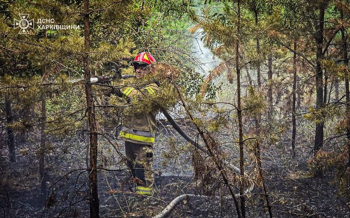 у лісництві на Ізюмщині ліквідували пожежу на 12 га